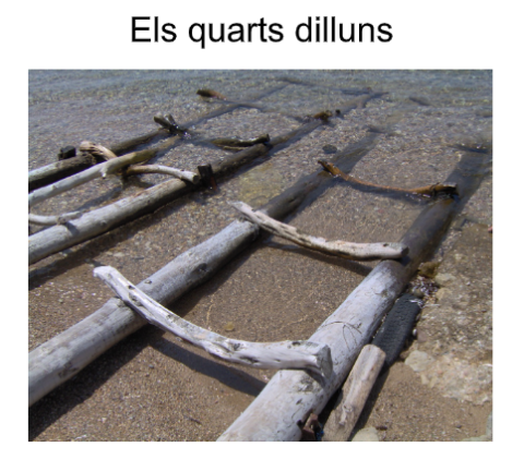 Els quarts dilluns